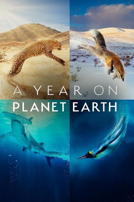 مسلسل A Year on Planet Earth الحلقة 1 مترجمة