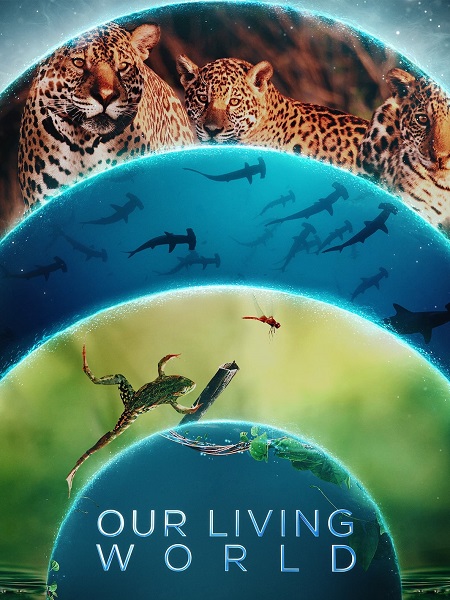 مسلسل Our Living World الحلقة 4 مترجمة