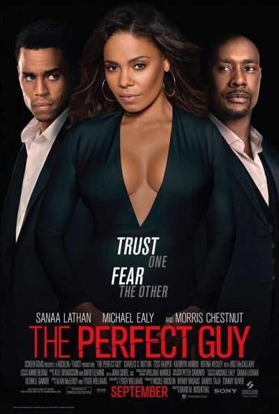 فيلم The Perfect Guy 2015 BluRay مترجم