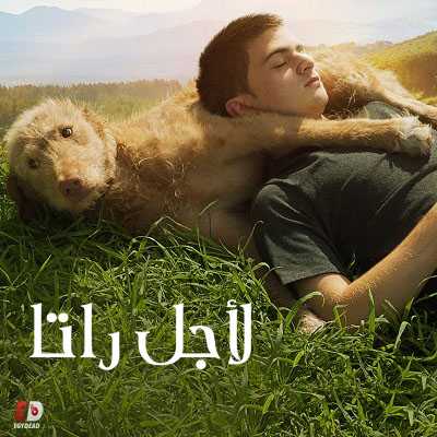 مشاهدة فيلم Seventeen 2019 مترجم