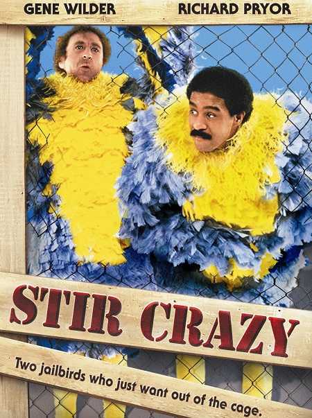 مشاهدة فيلم Stir Crazy 1980 مترجم