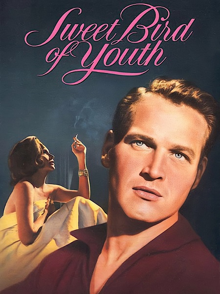 مشاهدة فيلم Sweet Bird of Youth 1962 مترجم