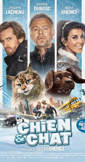 فيلم Cat and Dog 2024 مترجم