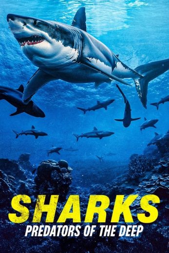 فيلم Sharks Predators of the Deep 2024 مترجم